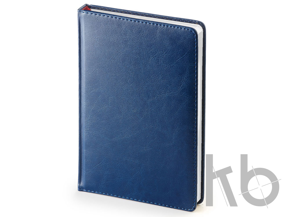 Ежедневник недатированный А5 «Sidney Nebraska»