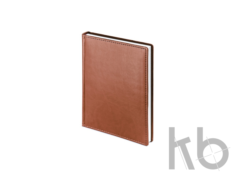 Ежедневник недатированный А6+ «Velvet»