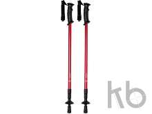 nordic walking sticks