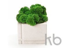 Кашпо бетонное со мхом «Square»