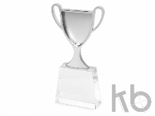 Кубок «Champion»