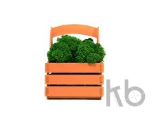 Композиция «Корзинка со мхом»