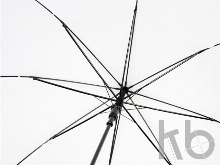 Зонт-трость «Alina»