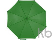 Polyester (190T) umbrella