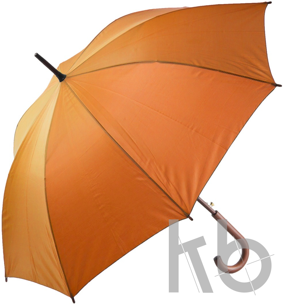 Зонт-трость