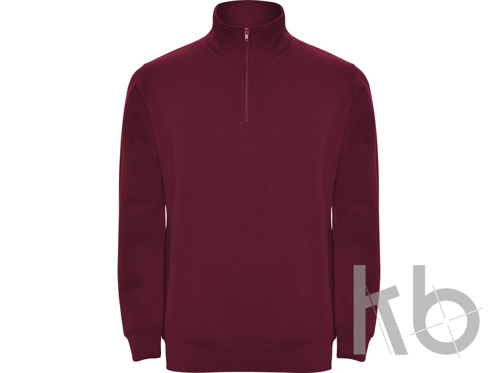 Свитшот «Aneto» мужской