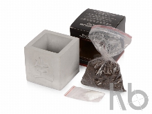 Подарочный набор «Вырасти Бонсай дома. Айва Японская»