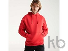 Толстовка с капюшоном «Vinson» унисекс