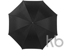 Polyester (210T) umbrella