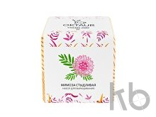 Набор для выращивания «Big village cube «Мимоза стыдливая»