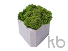 Кашпо бетонное со мхом «Гама»