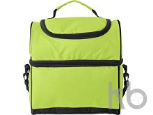 Polyester (600D) cooler bag