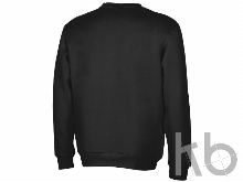 Толстовка «Rome» мужская