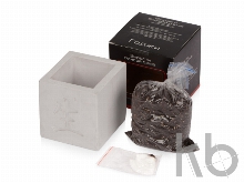 Подарочный набор «Вырасти Бонсай дома. Годжи»