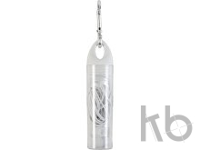 PS case with earphones