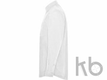 Рубашка «Aifos» мужская с длинным рукавом