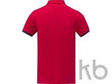 Рубашка поло «Morgan» мужская