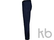 Брюки «Daily next», мужские