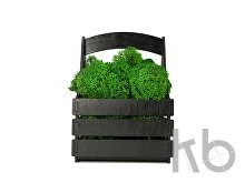 Композиция «Корзинка со мхом»