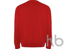 Свитшот из органического хлопка «Batian», унисекс