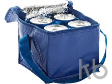 cooler bag