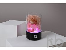 Ночник «LED Phoenix»