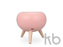 Ночник  LED «Koko»