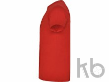 Футболка «Braco» детская