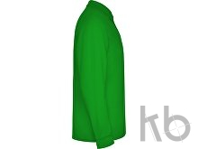 Рубашка поло «Estrella» мужская с длинным рукавом