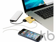 USB Hub «Gaia» на 4 порта