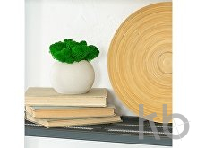 Кашпо бетонное со мхом «Сфера»