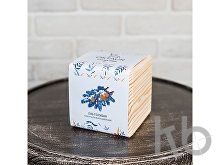 Набор для выращивания «Big village cube «Ель Голубая»