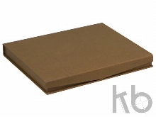 Плакетка «Сарагоса»