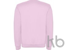 Свитшот с начесом «Clasica» унисекс