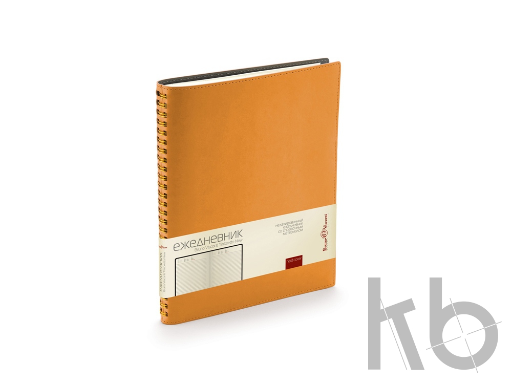 Ежедневник недатированный B5 «Tintoretto New»