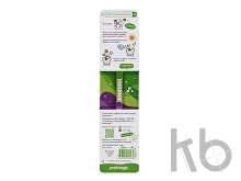 «Растущий карандаш» с семенами базилика