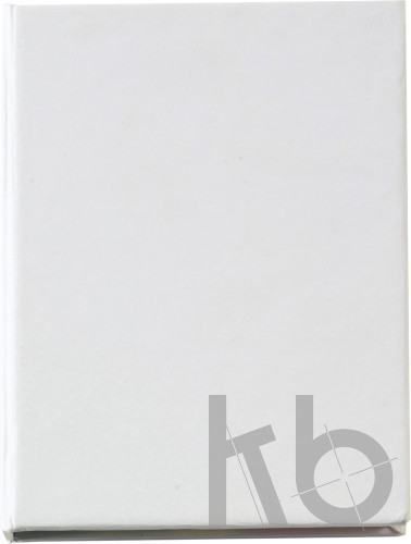 Cardboard holder with sticky notes