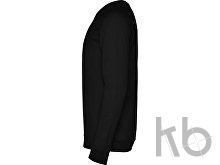 Свитшот «Annapurna» мужской