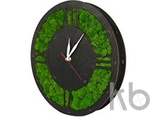 Настенные часы со мхом «Римские»