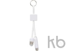 ABS cable set