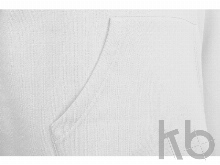 Толстовка с капюшоном «Amsterdam» мужская