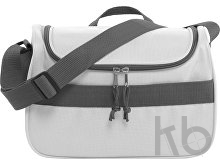 Polyester (600D) cooler bag