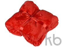 Подарочный набор «Cozy hygge» с пледом и термосом