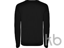 Свитшот «Annapurna» мужской