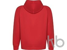 Толстовка с капюшоном «Vinson» унисекс