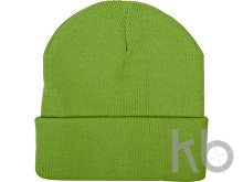 Шапка «Dunant»