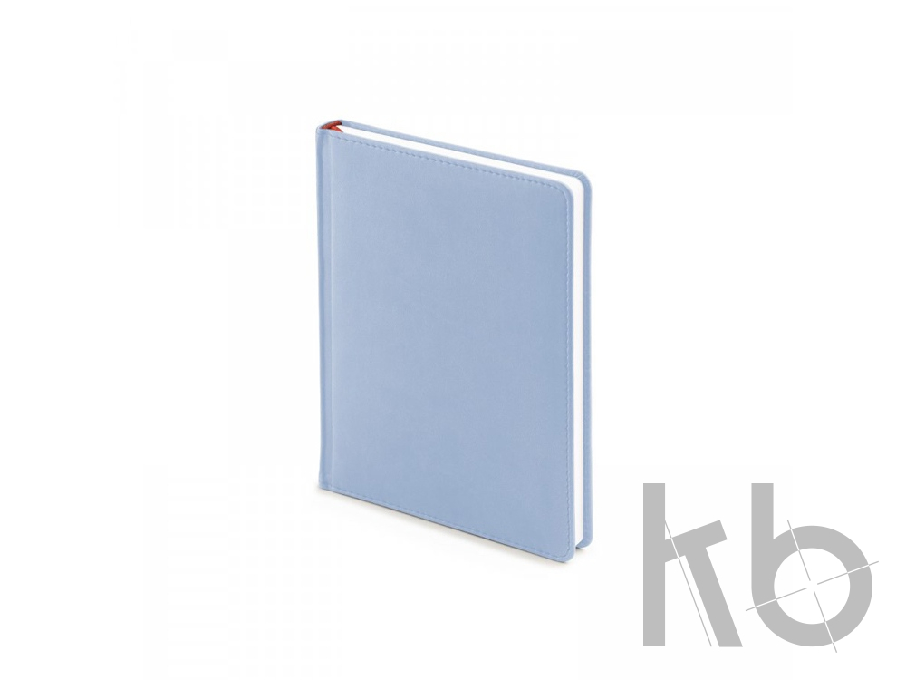 Ежедневник недатированный А6+ «Velvet»