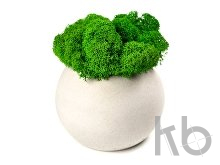 Кашпо бетонное со мхом «Сфера»