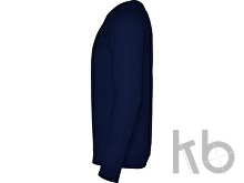 Свитшот «Annapurna» мужской