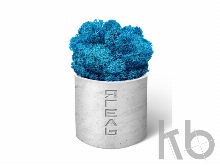 Мох Ягель натуральный